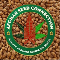 Afghan Seeds