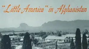 Afghani cannabis genetics for cultivation